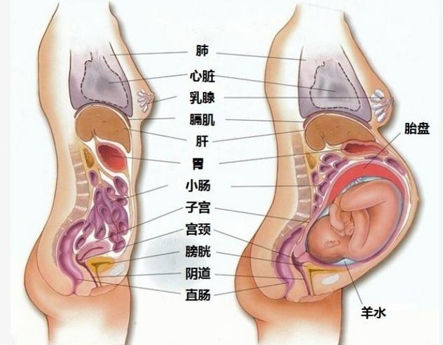第204页