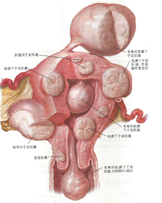 娱乐生活 第36页