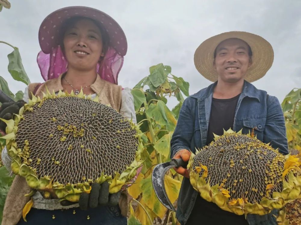 热点生活 第13页
